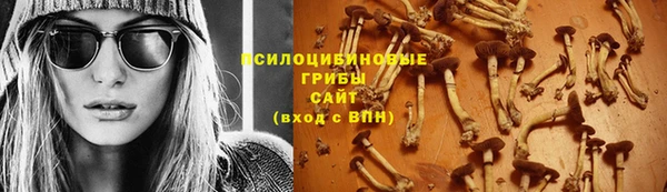 СК Карпинск